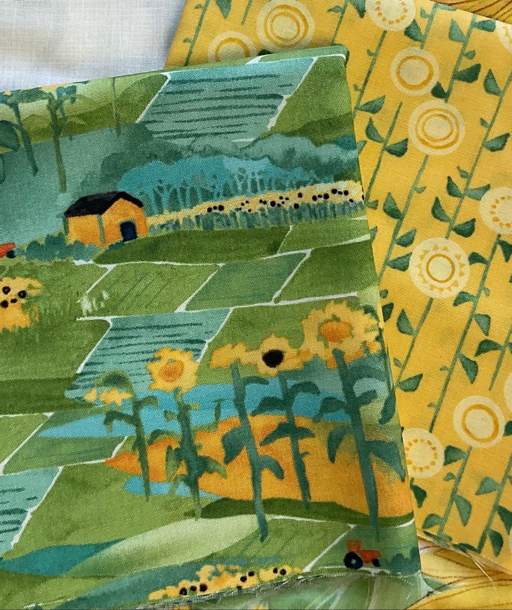 A Kit-let of Sunny Border in Solana - light - Image 3