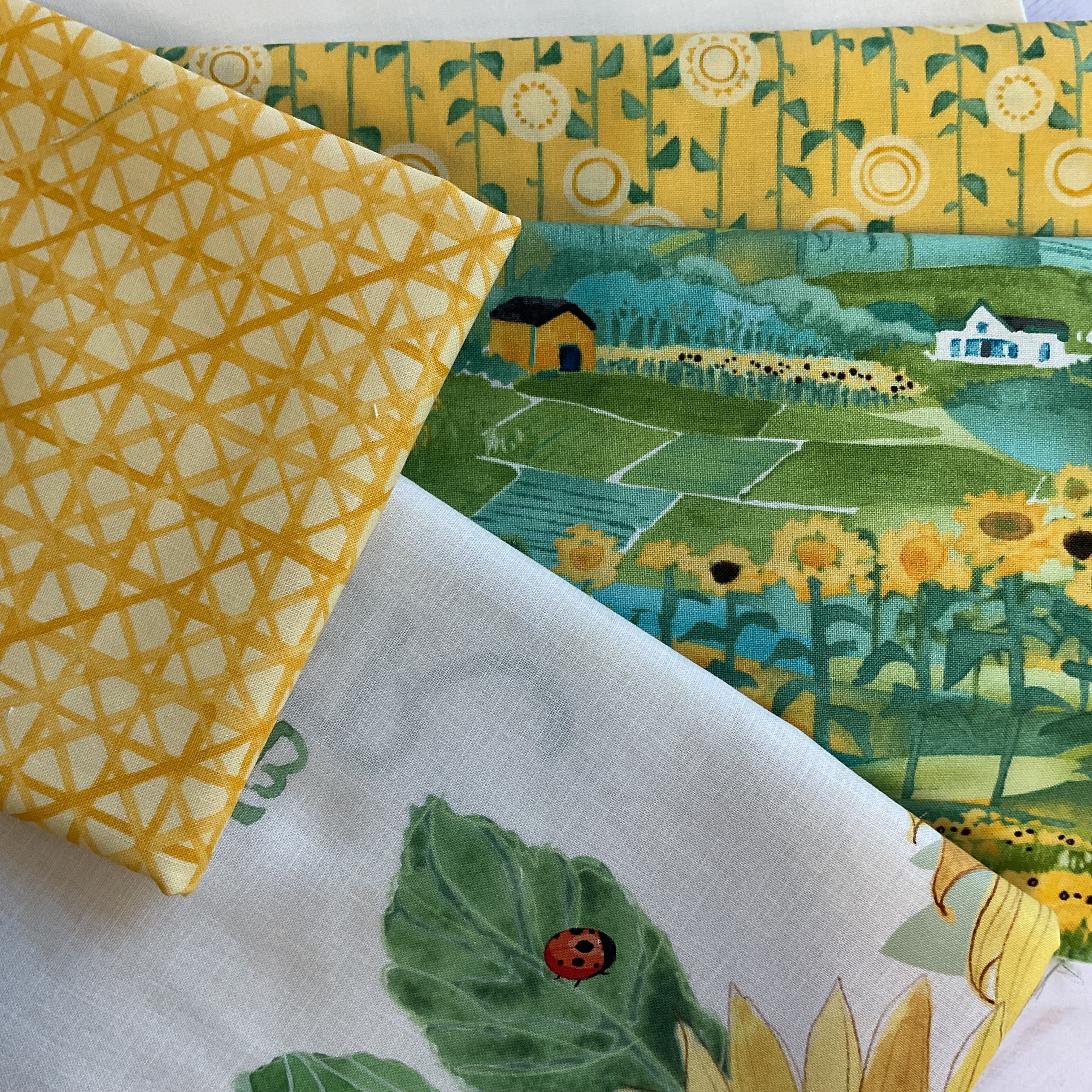 A Quilt Kit of Sunny Border in Solana (Porcelain) - Image 3